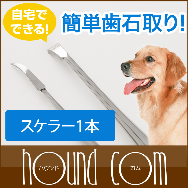 テチチ様専用】 プロ仕様 犬猫用歯石取りペンチ 帝塚山ハウンドカム+