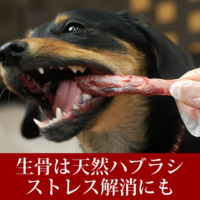 クラシック 歯磨き効果 エゾ鹿肉 あばら骨 3袋セット 犬 手作り 歯磨き おやつ 小型犬 お口の匂い デンタルケア 無添加 除去 歯垢 国産 エゾ鹿ボーン 犬のおやつ 犬のガム ドックフード 犬の餌 シカ肉 ローフード 犬用品 Tamfi Com