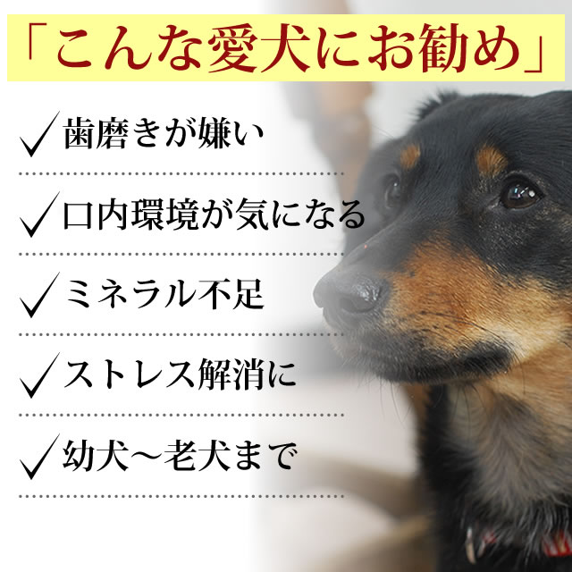 クラシック 歯磨き効果 エゾ鹿肉 あばら骨 3袋セット 犬 手作り 歯磨き おやつ 小型犬 お口の匂い デンタルケア 無添加 除去 歯垢 国産 エゾ鹿ボーン 犬のおやつ 犬のガム ドックフード 犬の餌 シカ肉 ローフード 犬用品 Tamfi Com