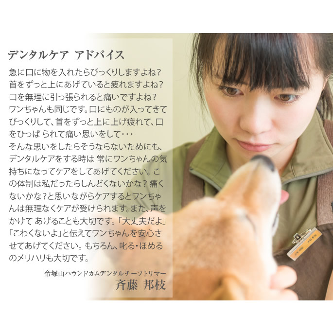 愛犬・愛猫用歯石取りペンチ犬お口の匂い歯磨きデンタルケア歯石取り気になる歯垢や歯石除去犬はみがき【a0268】