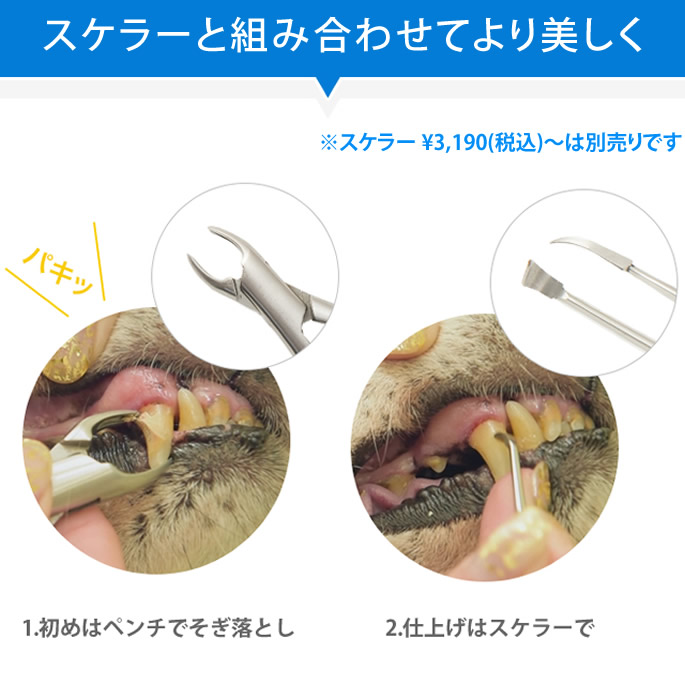愛犬・愛猫用歯石取りペンチ犬お口の匂い歯磨きデンタルケア歯石取り気になる歯垢や歯石除去犬はみがき【a0268】
