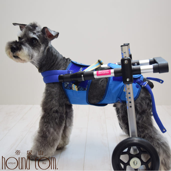 【割引クーポン配布中】歩行補助車 ドギーサポーター 補助車Mサイズ+ハーネスSサイズセット 老犬 介護用 車いす 補助 歩行補助 無料レンタル 車椅子 前足は動く子に 後ろ足が不自由な子に 車いす 小型犬 中型犬 胴輪 ハーネス 補助器具 散歩ができる 帝塚山ハウンドカム｜ペットの長生きごはん専門店
