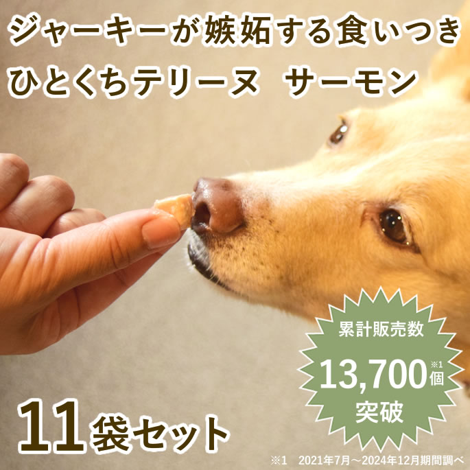 【割引クーポン配布中】犬 とっておきのひとくちテリーヌ サーモン 100g&times;10袋+1袋 冷凍 【ハウンドカム食堂】 猫用 おやつ 無添加 国産 エサ ウェットフード トッピング 食いつき抜群 腎臓に配慮した低リン 消化に優しい 犬 多頭飼い まとめ買い 帝塚山ハウンドカム｜ペットの長生きごはん専門店