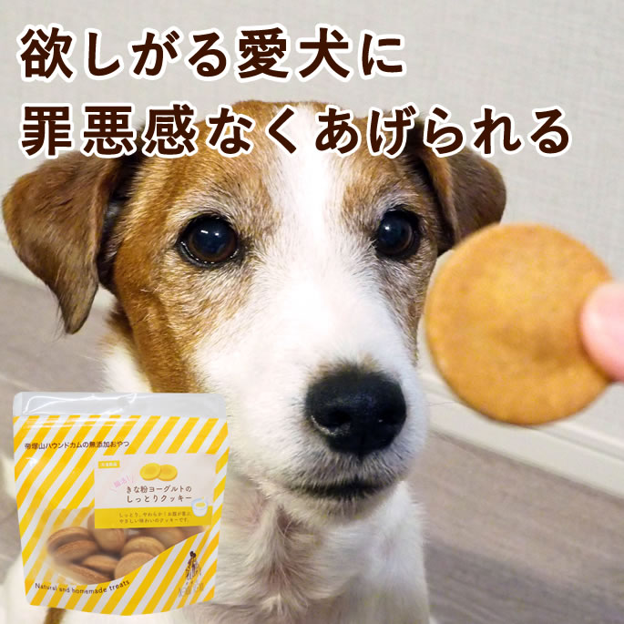 半年分まとめ買い大売り出し