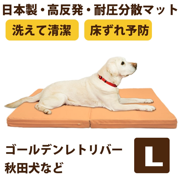 百貨店大売り出し特設ペイジ