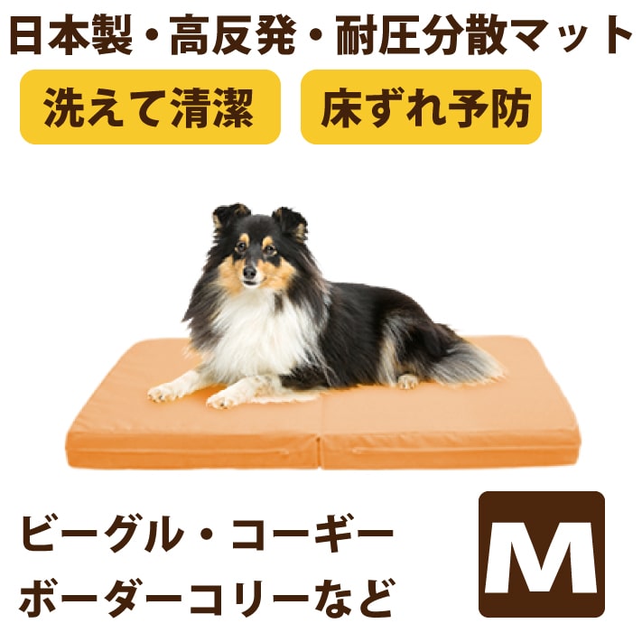 百貨店大売り出し特設ペイジ