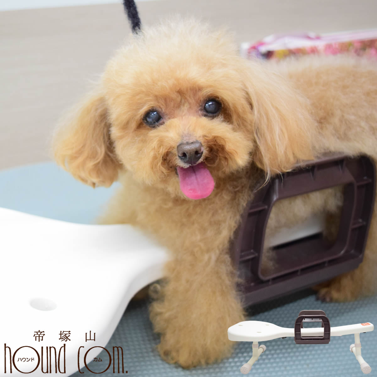 楽天市場】【P2＆クーポン配布中】【お取り寄せ】 愛犬用 りらたっち