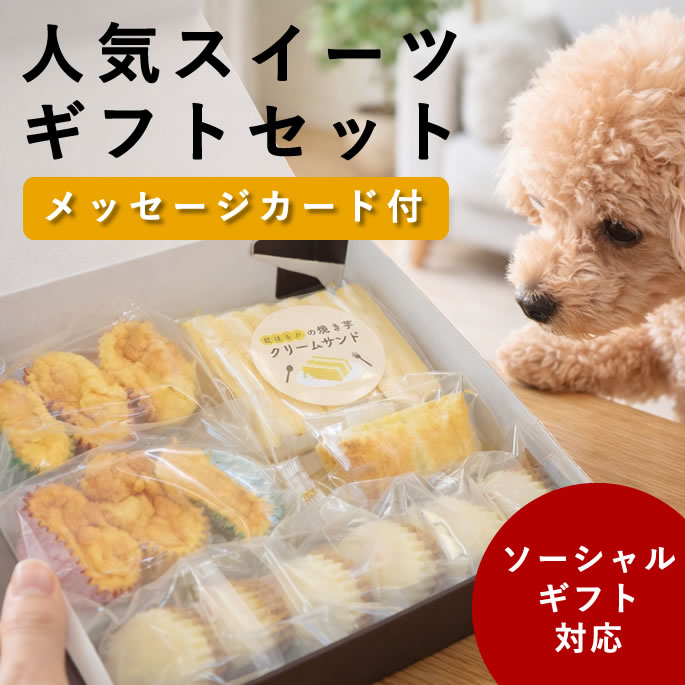 【割引クーポン配布中】犬用 ソーシャルギフト｜人気スイーツ ギフトセット【冷凍便】無添加 ギフト プレゼント おやつ 詰め合わせ 高級 贈り物 お祝い 誕生日 バースデー 記念日 バレンタイン クリスマス 可愛い ラッピング スイーツ ケーキ 低リン 腎臓