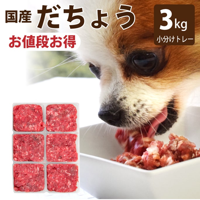 【割引クーポン配布中】犬 猫 用 国産ダチョウ肉ミンチ 小分けトレー 3kg (小分け約42g&times;72個)　生食 ペット用　手作りごはん　食材　低脂肪　低コレステロール　オーストリッチ　だちょう肉　駝鳥生肉　ダチョウ生肉　犬用　猫用 帝塚山ハウンドカム｜ペットの長生きごはん専門店