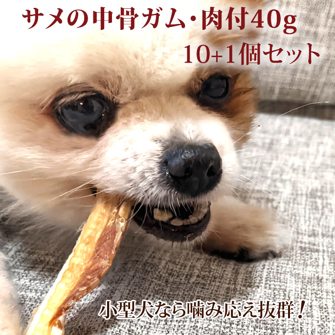 市場 サメの中骨ガム デンタルケア 犬用 ジャーキー ガム 肉付40g10 1袋セット おやつ