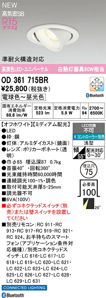 落ち込むともし火 オーデリック OD361715BR