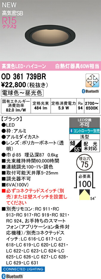 落ちこむ点火装置 オーデリック OD361739BR