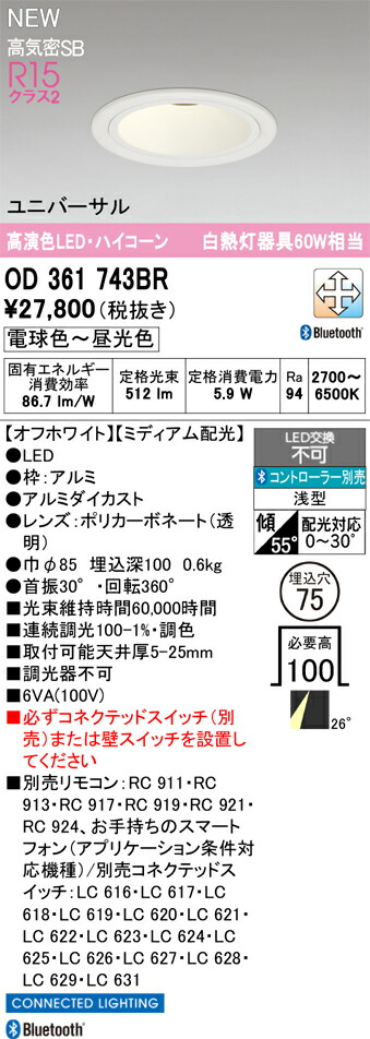 落ちこむ点火装置 オーデリック OD361743BR