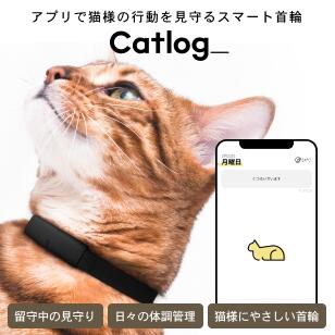 超美品の アプリで猫の行動を見守るスマート首輪 留守中の見守りや健康管理に おしゃれなデザイン セーフティバックル付き 初回購入限定 猫 スマート首輪 安心安全 Catlog 基本セット 月額料金プラン 黒猫ブラック キャトログ 宅配便配送爆発的人気