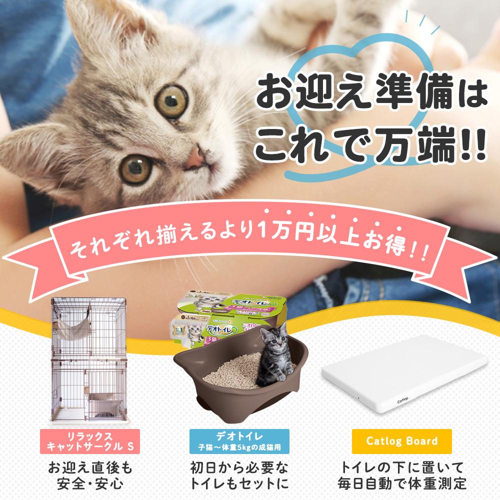 20%OFF！】【子猫お迎え3点セット 】子猫のお迎え準備はこれで万端