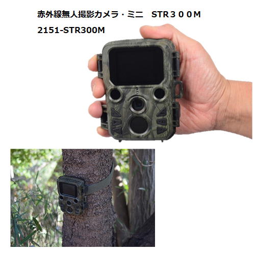 楽天市場】赤外線無人撮影カメラ・ミニ STR-MiNi300SIGHTRON/サイト