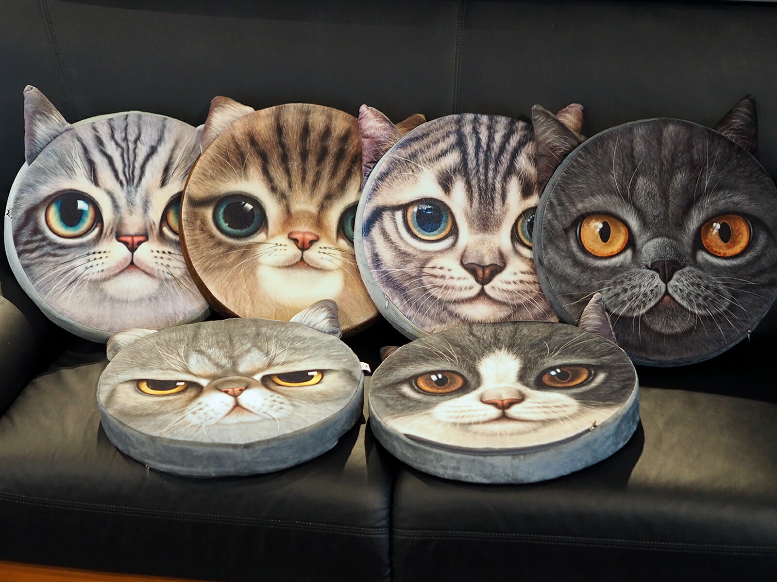 楽天市場】猫顔クッション 全4種 送料無料 : キャットニップ