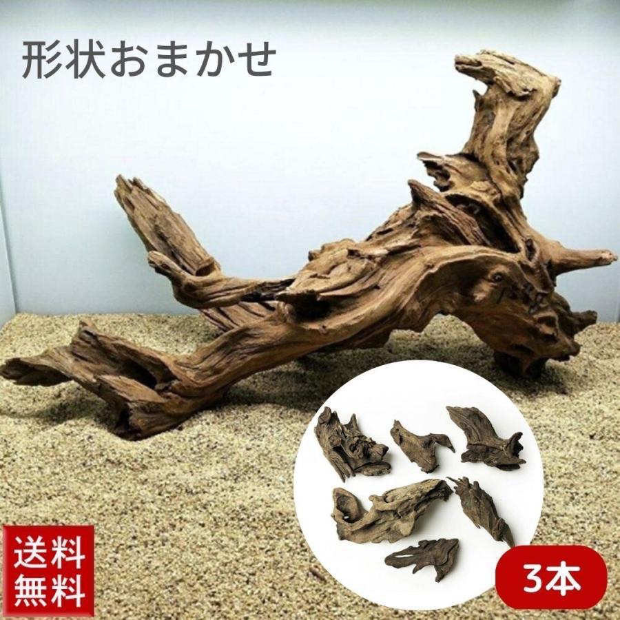 福袋 アクアリウム 流木 ーVer2ー 3本セット 形状お任せタイプ 21?25cm 水槽撮影 テラリウム レイアウト用品 流れた木 水草 隠れ家 活着