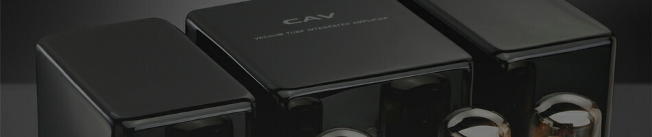 CAV����ѥ����軨�ߤ䡢�ɺ����ʤ��濴�����䤷�Ƥ���ޤ���