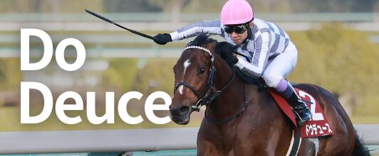 楽天市場】【DO DEUCE】KIFFERS Official ドウデュース！天皇賞・秋 G1