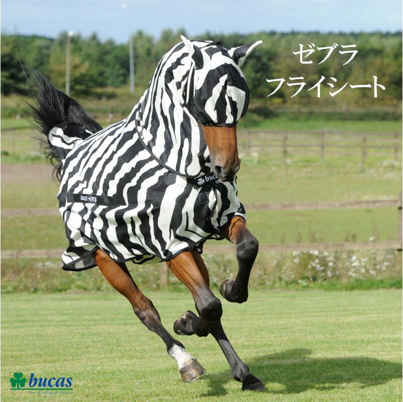LEMIEUX　ボルドー　XS-S　長袖ライディングシャツ　乗馬ウェア　馬術 bc88698f3c21e7b123ee3efe56347e