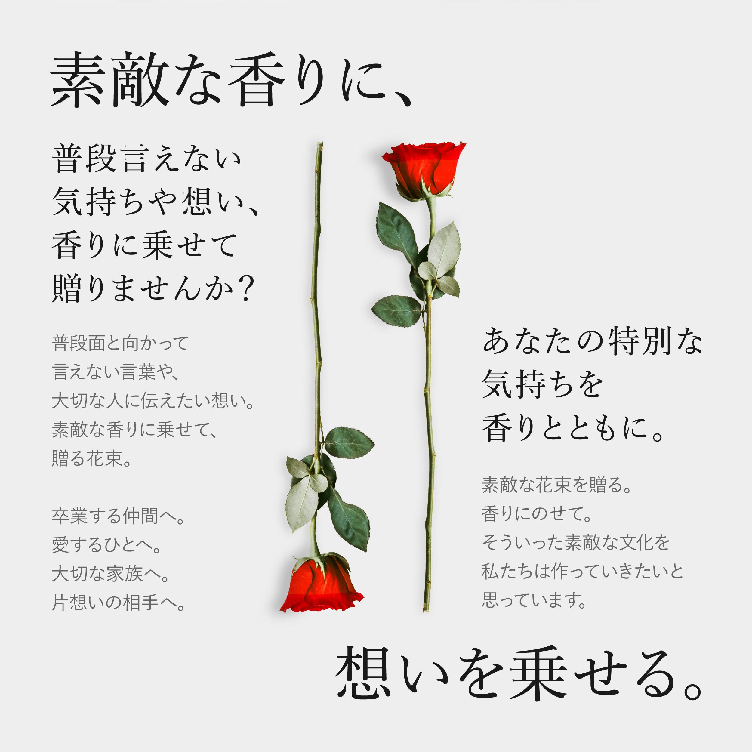 直営限定アウトレット ソープフラワー バラ 花束 100本 そのまま飾れる 薔薇 誕生日 送料無料 プロポーズ おしゃれ 結婚記念日 成人式 卒業式 ギフト メッセージ 本数 100 ソープフラワーギフト 赤 アレンジメント お見舞い 開店祝い 花 スタンド ブランド Fucoa Cl