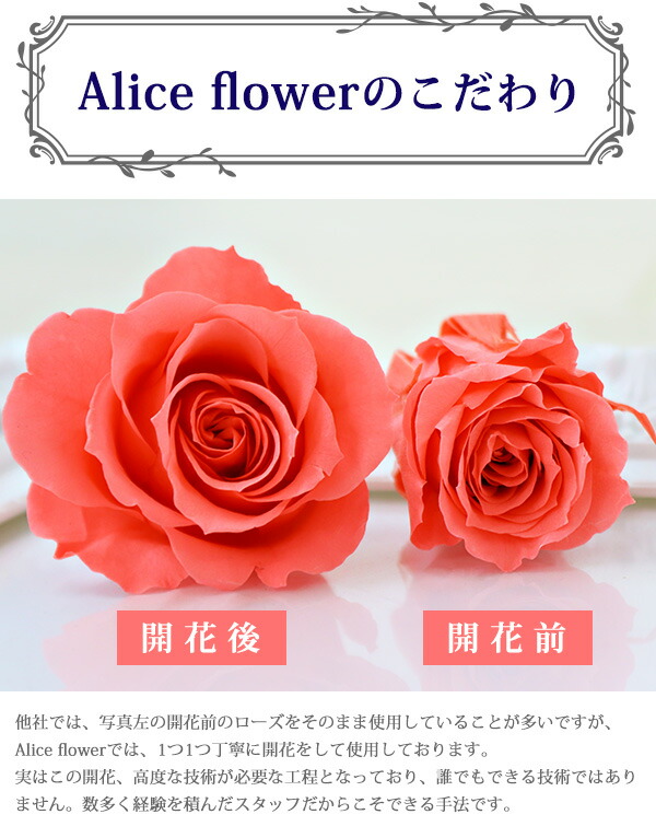 敬老の日 プレゼント プリザーブドフラワー バラ 40輪 40本 花束 スタンド付き ギフト 誕生日 ブーケ プロポーズ 薔薇 花 贈り物 プチ 玄関 ピンク 青いバラ 結婚祝い ブーケスタンド 退職祝い 還暦 アリスフラワー 通販 Chelsesgreenhouse Com