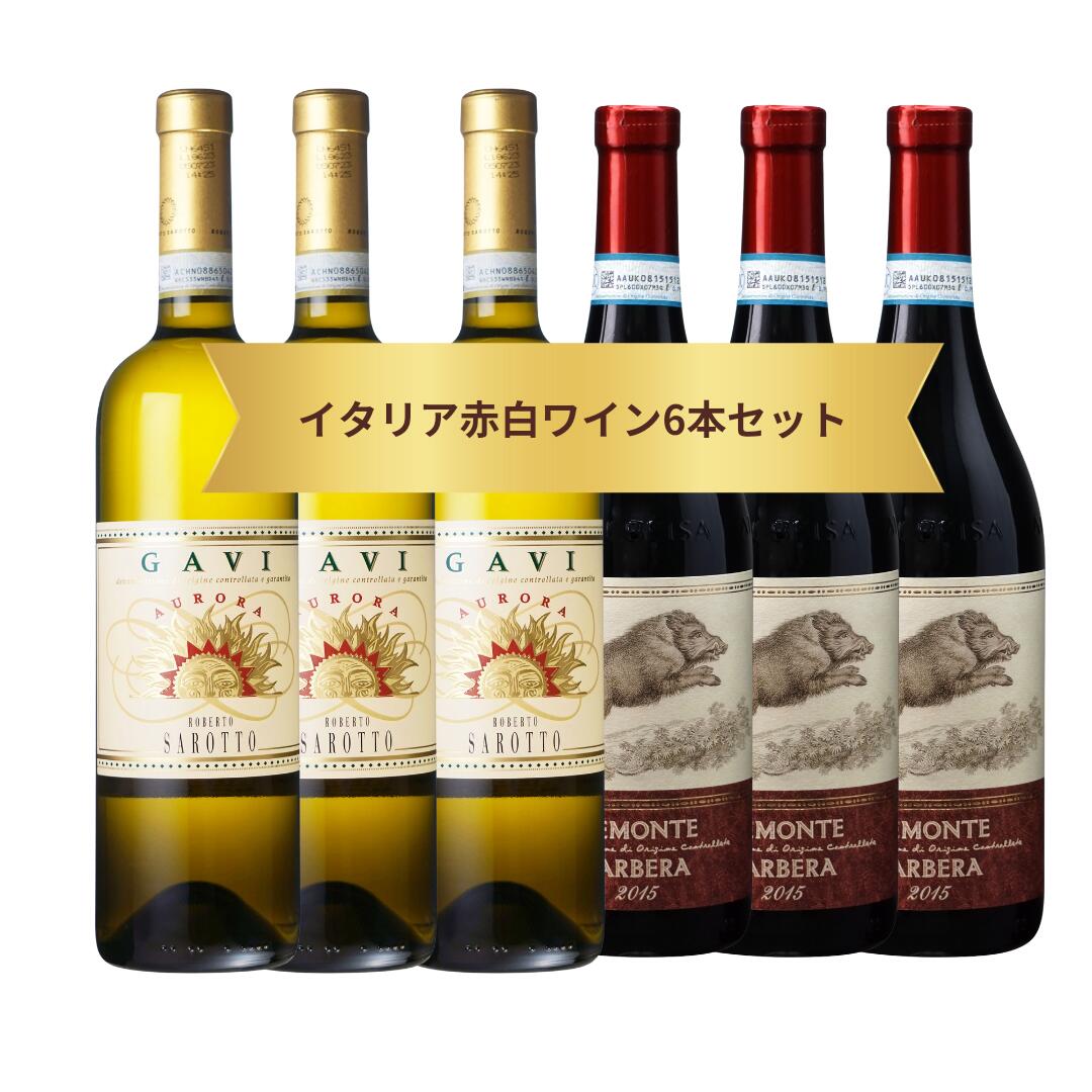 ソムリエールおすすめイタリア赤白ワインおすすめ6本セット ピエモンテ州 バルベーラ GAVIメーカーお取り寄せ 飲食店様におすすめ 人気の品種 リーズナブル リピーター続出|Cave Entre Duex Vins