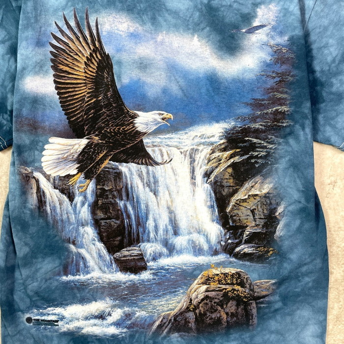 超レア！巨大BIG 70's〜ネイティブアメリカン イーグル鷲USA