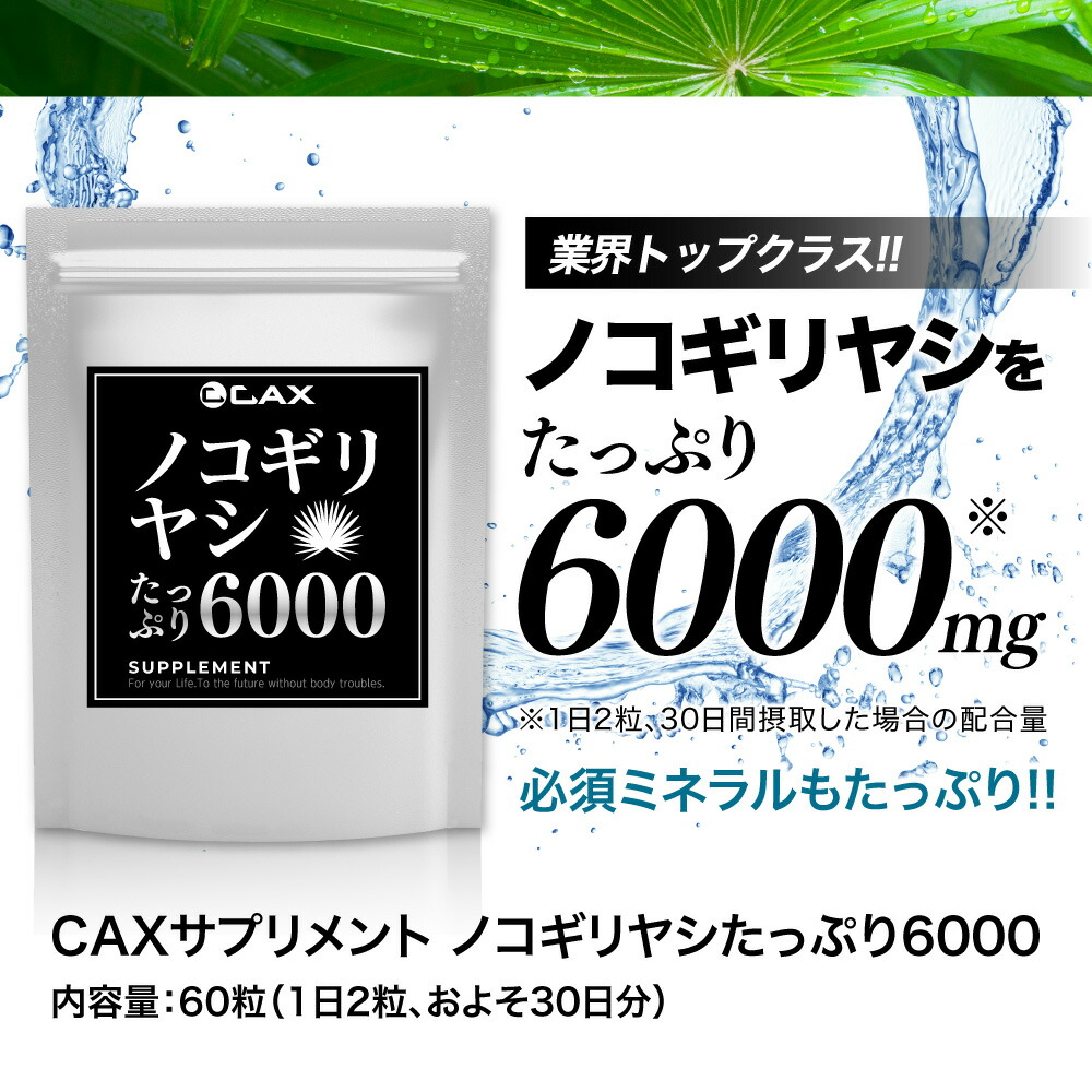 市場 ノコギリヤシたっぷり6000 サプリメント のこぎりやし ノコギリやし 60粒 ノコギリ椰子