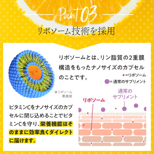 リポソーム ビタミンc 100 2800mg 内科医締めくくる 国内製出 ビタミンcコンバージョン 1000mg練り合せる クオンティティ性状 イギリス 創造ビタミンc使う パウダー印字機 付け足し 栄養分腕前食品 ビタミンc 抗酸化 高吸容れる ジャックレモンこく リポフルvc 1容物 31