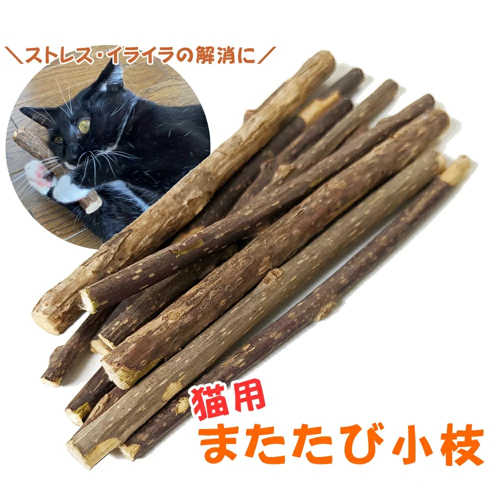 福袋 猫用 またたびの木 またたび リラックス イライラ ストレス発散 おもちゃ ペット用品 猫用品 メール便で送料無料 qdtek.vn