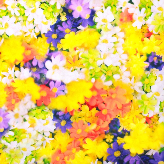 M Mika Ninagawa Colorful Candy Style おむつバッグ スクエアバッグ オレンジイエロー 蜷川実花 コラボ Kanal9tv Com