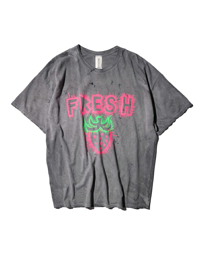 WESTFALL / CYBER FRESH T-SHIRT SS CHARCOAL 26SS|CCTB