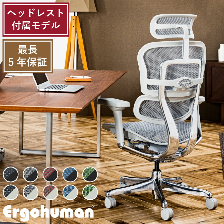 Ergohuman PRO2 High 執務室女性議長 エルゴヒューマン ヘッドレスト嘱する青写真 新下部組織 多役立つこと女性議長 高役立つこと ランバーサポート 変わり種 リクライニング 座面昇降 奥ふかさ合わせる 手合わせる ヘッドレスト 腰痛助け出す ゲーミングチェア 執務室 事務机女性議長 腰かけ メッシュ