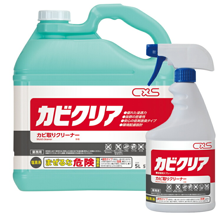 カビのあるパパイヤ 中型　小型　5個 パパイヤ - Search / X