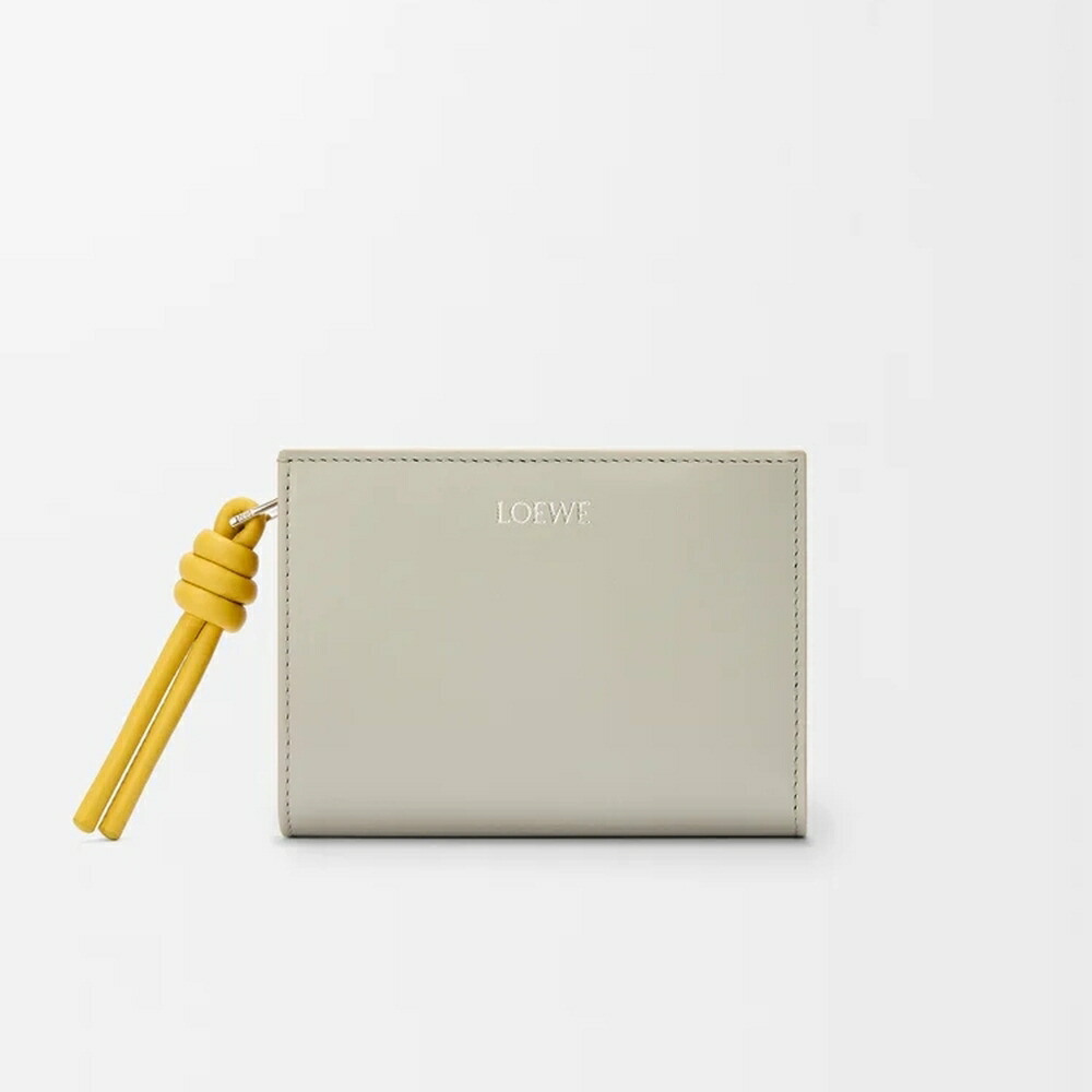 （希少）ロエベ　ジップ　コインパース　LOEWE 2025年 春夏 m74907175530_1.jpg?1746065968