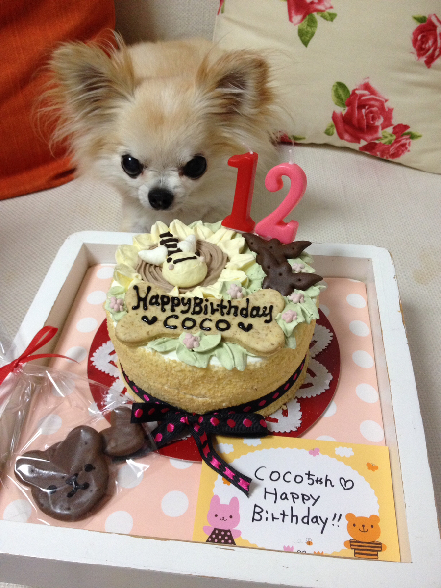 楽天市場 ひまわりとハチさん 犬用ケーキ 犬用お誕生日ケーキ ドッグケーキ わんこケーキ 犬用ケーキ ｃｅｌｅｂｗａｎｋｏ