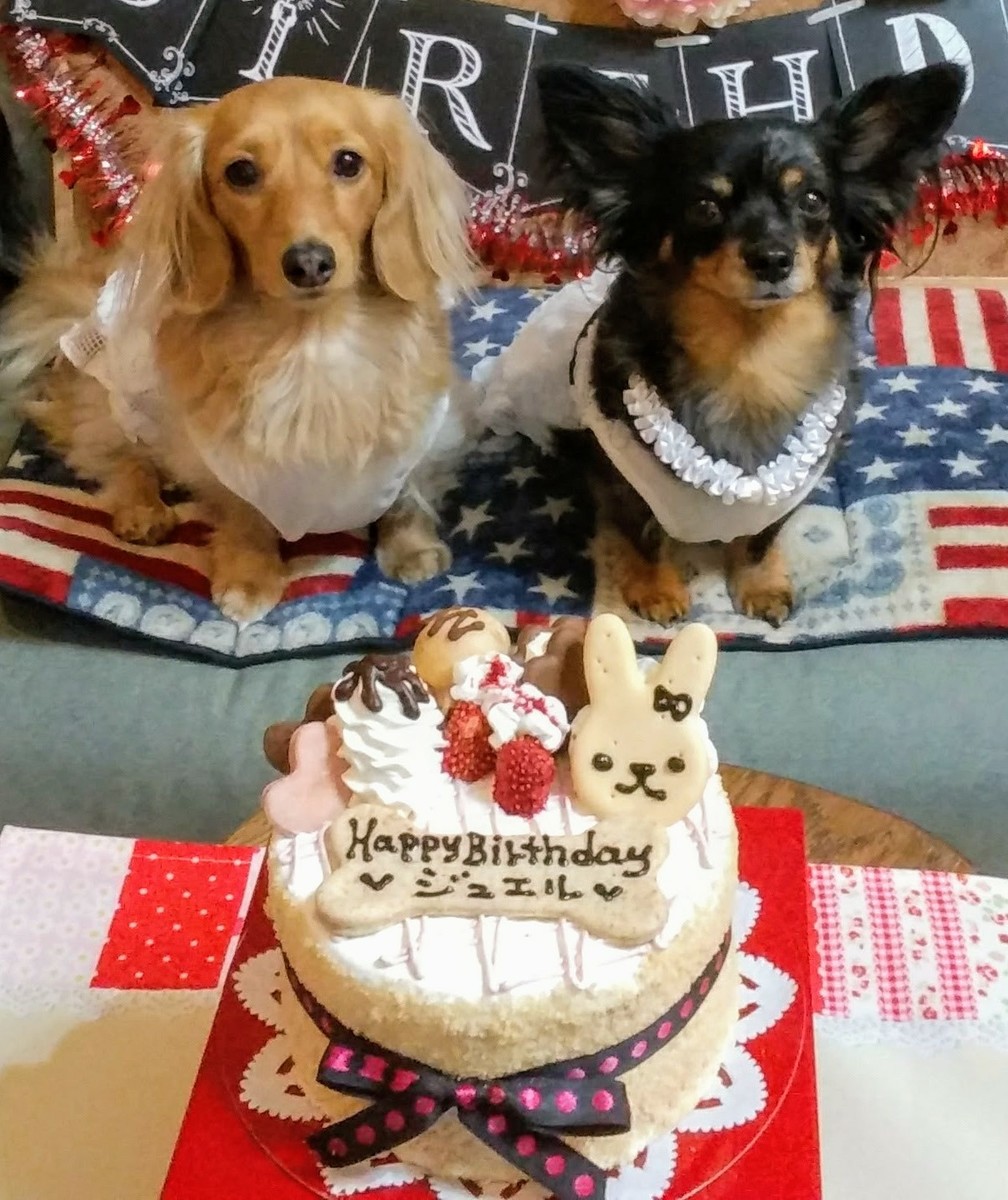 楽天市場 スイーツデコ風cake 犬用ケーキ 犬用お誕生日ケーキ ドッグケーキ わんこケーキ 犬用ケーキ ｃｅｌｅｂｗａｎｋｏ