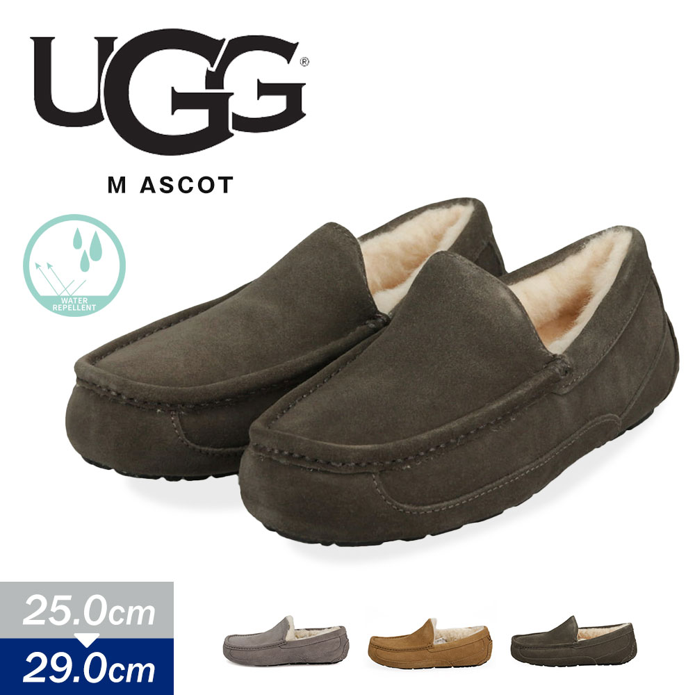 楽天市場 送料無料 アグ モカシン メンズ Ascot アスコット Ugg スリッポン ファー ローファー ムートンシューズ カジュアルシューズ 本革 黒 ブラック チャコール チェスナット チェスナッツ おしゃれ ブランド 撥水 暖かい 防寒 ボア ウール セレブ 海外 人気 秋 冬