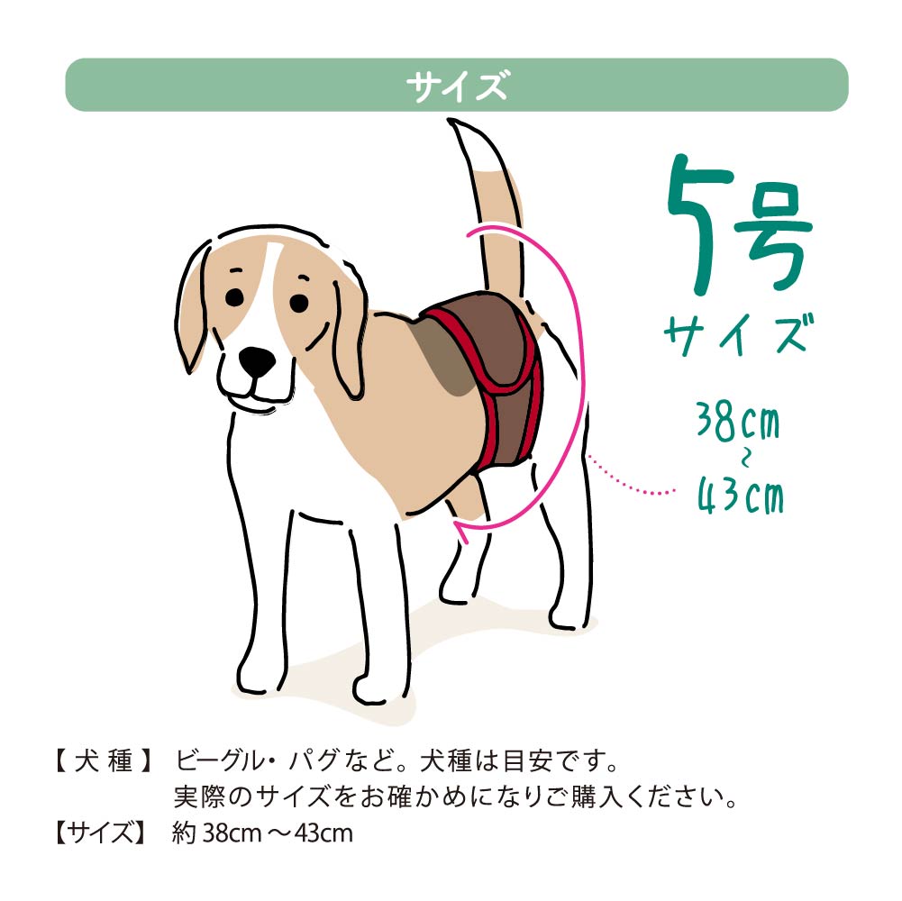 爆買い新作 犬用マナーベルト マナーバンド オムツカバー ドッグウェア ウエア トイレ おしっこ オシッコ失敗 シンプル しつけ マーキング防止 男の子 オス ペットグッズ 介護用品 介護グッズ 尿漏れ お出かけ 散歩 ドッグラン マルチマナーベルト5号 約38 43cm モカ