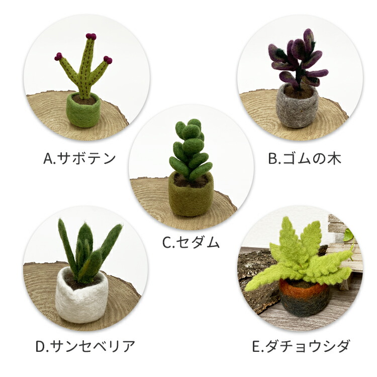 フェルトミニチュアプラント フェイクグリーン グリーン アレンジ 人工観葉植物 雑貨 サボテン 観葉植物 セダム 食虫植物 鉢植え インテリア おもちゃ ドールハウス ミニ オブジェ 置物 かわいい おしゃれ フェアトレード サステナブル 花 Maison Pou Giosenglish Com