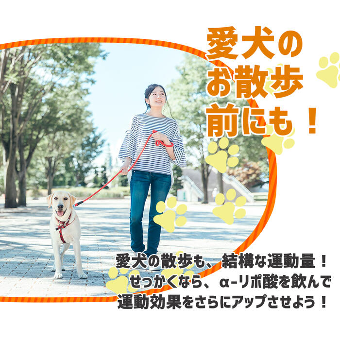 【セレン公式】αリポ酸サプリ30粒入30日分ダイエットサプリ脂肪燃焼α-リポ酸アルファリポ酸ダイエットサプリサプリメント男性女性運動【送料無料】