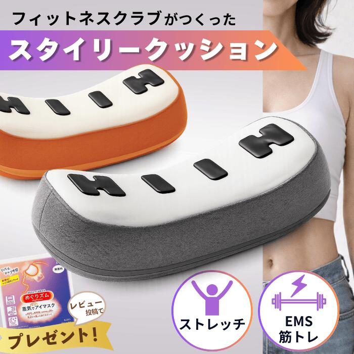 スタイリークッション フィットネスクラブがつくった EMS 筋トレ 10分 腹筋 背筋 体幹 土手っ腹 くびれ 身のこなし 伸ばすこと 寝ながら 定め事品