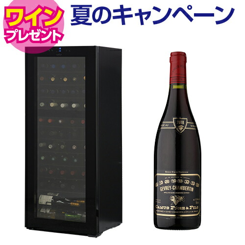 【9/29まで！特典ワイン付】ルフィエール ワインセラー TwoTime55 (C55BD)  2温度管理