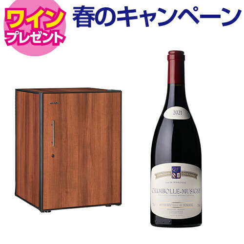 【5/29まで！ワイン特典付き】ワインセラー アルテビノ OP02-TB 98本