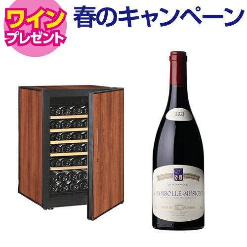 【5/29まで！ワイン特典付き】ワインセラー アルテビノ OP04-TB 62本