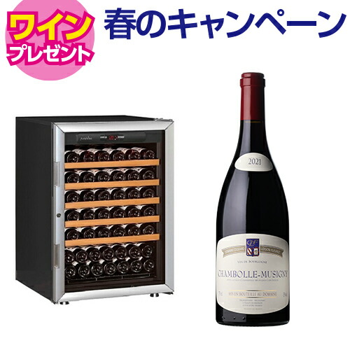 【5/29まで！ワイン特典付き】ワインセラー アルテビノ OVP05 74本