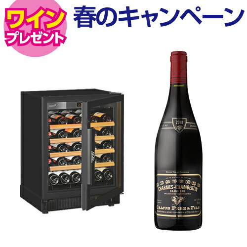 【5/29まで！ワイン特典付き】ワインセラー ユーロカーブ EuroCave ヴィエイテック V059M 38本 正規品