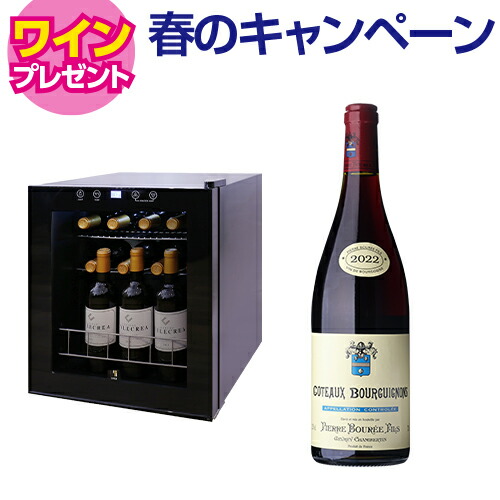 【5/29まで！ワイン特典付き】ワインセラー スタイルクレア イニッチオ SI-01 黒 13本